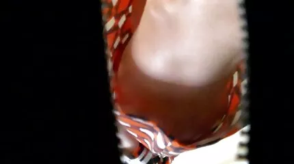 नई अश्लील 2014 सेक्स कृपा मलाईदार महासागर वसा होंठ सेक्सी फिल्म इंग्लिश सेक्सी फिल्म खगोलशास्त्री पर एक लोड गोली मारता है